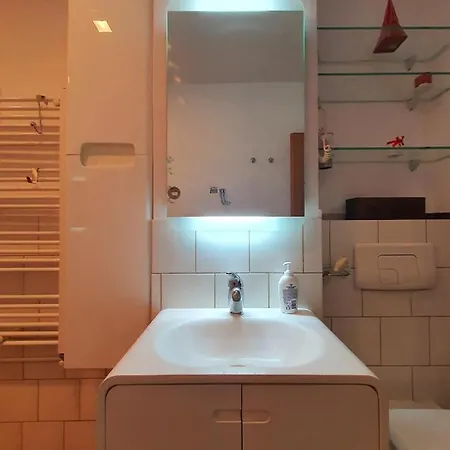 Sia 부쿠레슈티